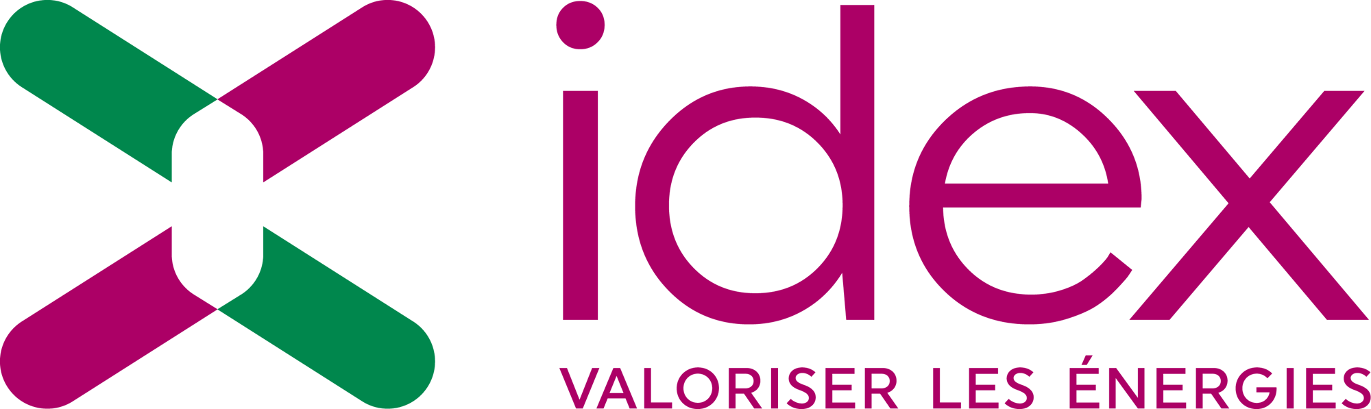 Logo_Idex